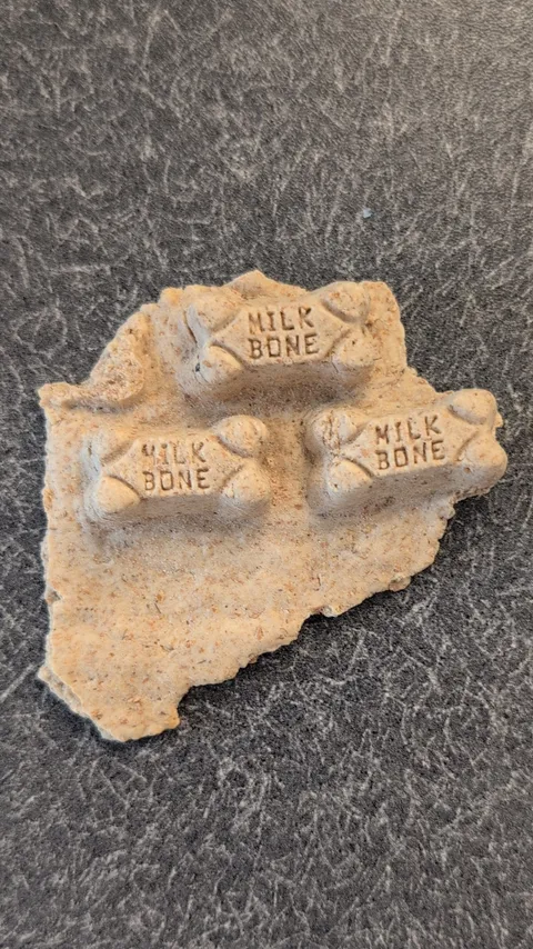 This clump of milk bones that came out of the box