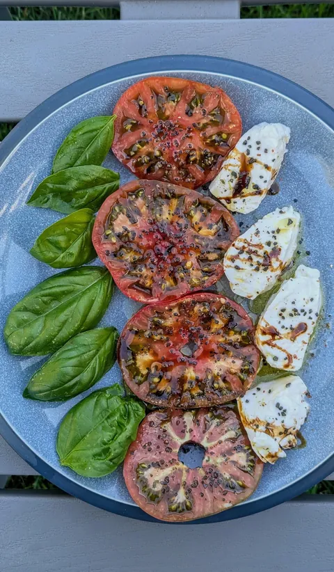 Home garden True Black Brandywine heirloom tomato Caprese salad