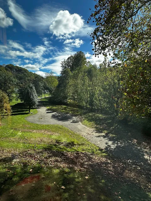 Moved into our “dream home” before closing… to discover it’s a moldy nightmare