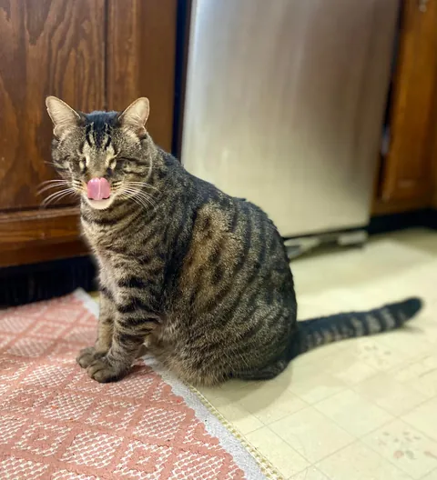 Said goodbye to my eyeless boy