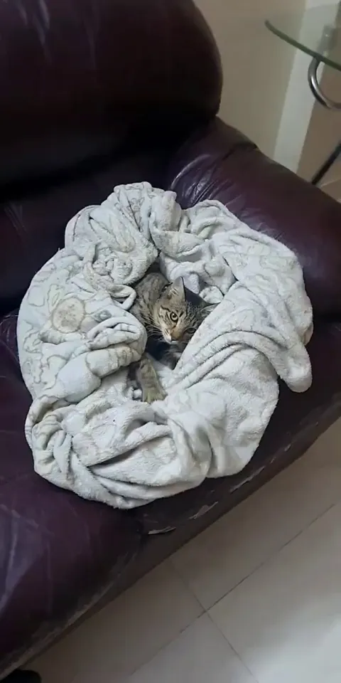 She's making biscuits :)