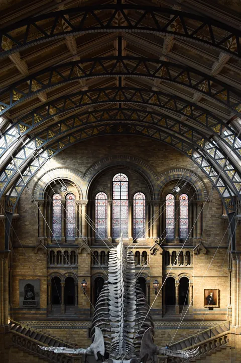 First time sharing here. I'm eager to read your comments. :)