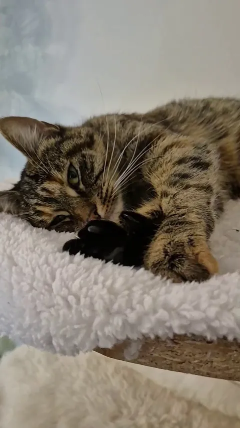 When she looks at me like this... it melts my heart every time