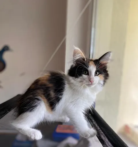 Lucy growing up , Then vs Now