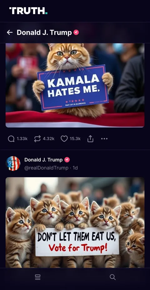 Can’t believe these are real posts from a presidential candidate  