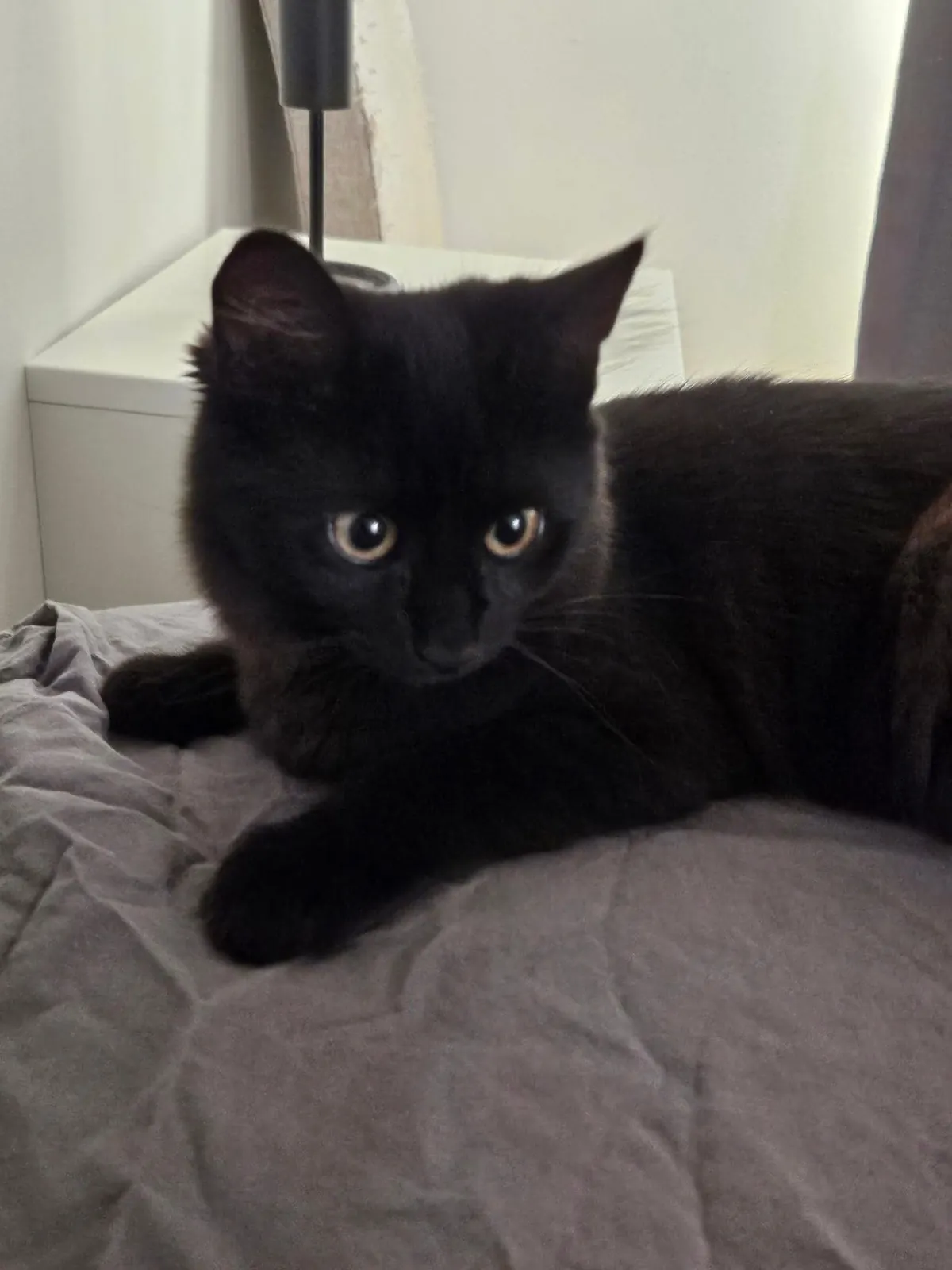 Found a baby picture of my little trouble 😍😍 the second picture is of her today, 2.5 years old... 😍😍