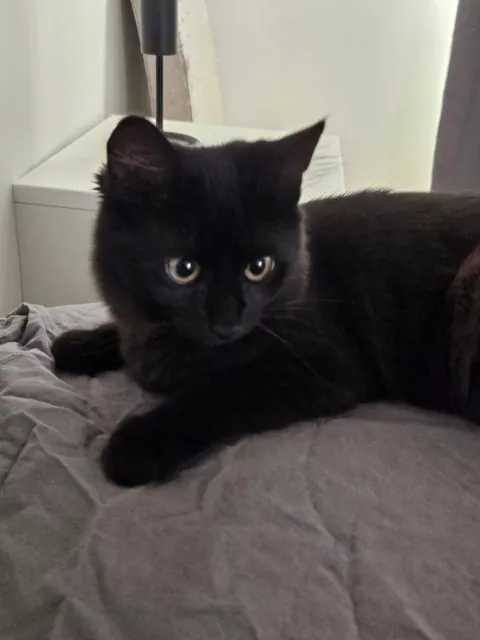 Found a baby picture of my little trouble 😍😍 the second picture is of her today, 2.5 years old... 😍😍