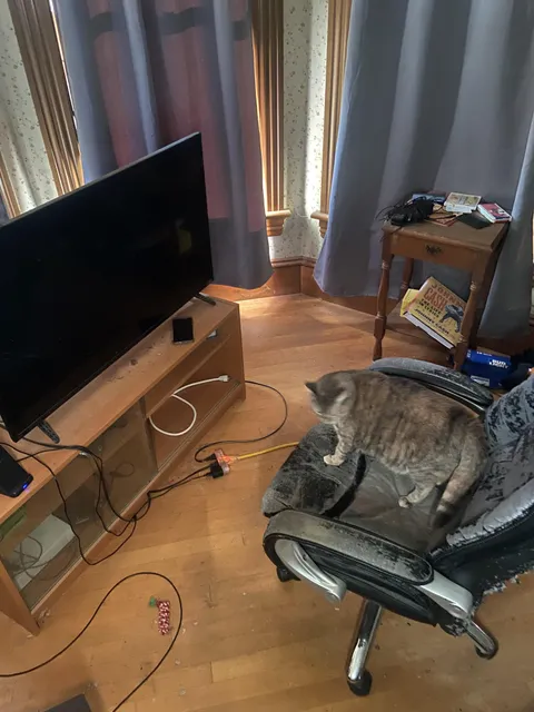 My friend is a top 200 tank in the world.