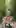 My fat ass completely out on a French forest trail… 😇🍑 strangers got a full view