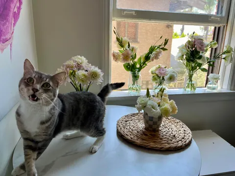 reposting my cozy sanctuary!