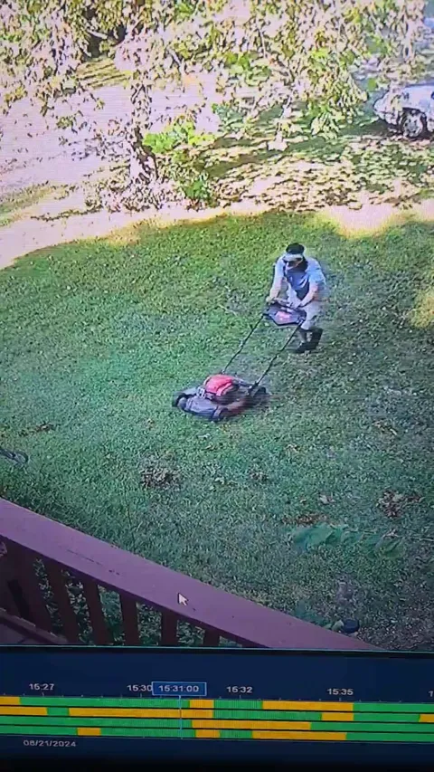 I ran over a wasps nest.