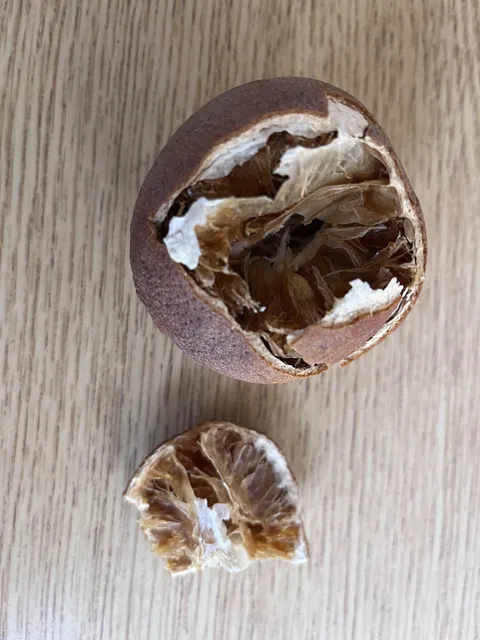 My kid found a mummified orange in her backpack that she stopped using 2 years ago