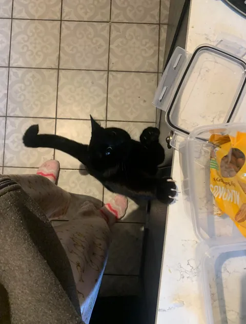 He does this every time I'm cooking