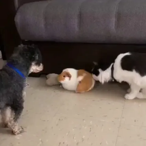 Don't even think about it!