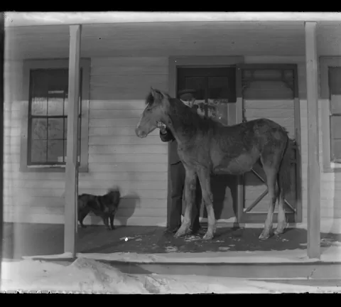 some more photos from the tote full of old dry plate negatives i found