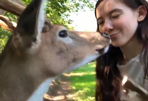 f22 no way you can hurt my feelings but try your best (orphan, vegan, and i think i can talk to trees)