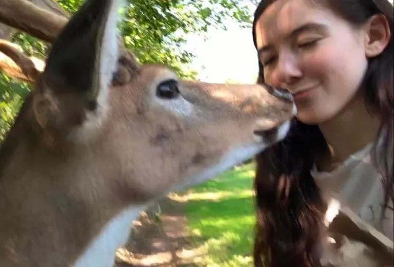 f22 no way you can hurt my feelings but try your best (orphan, vegan, and i think i can talk to trees)