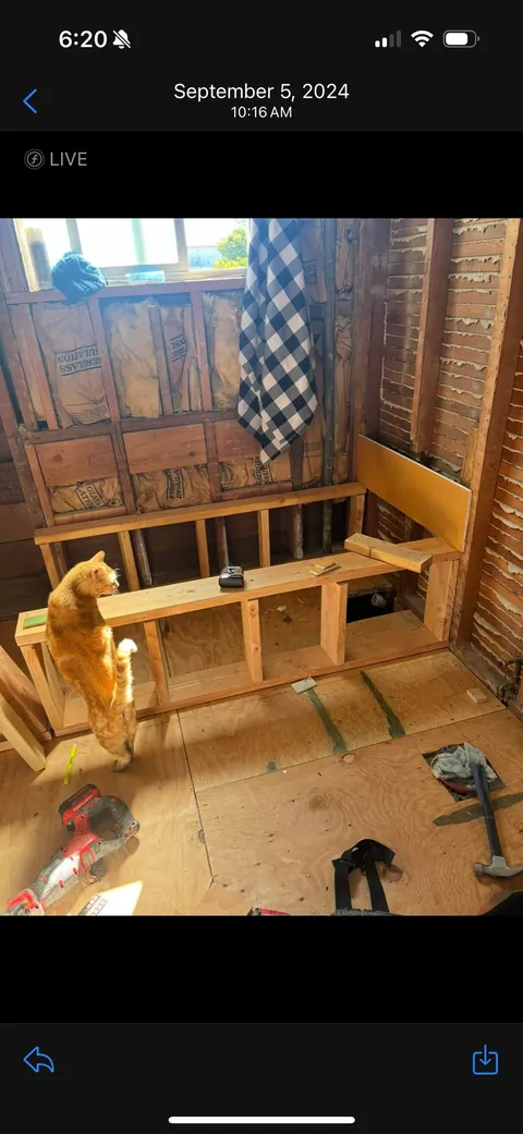 My husband and his cat remodeled our bathroom. He’s a tough foreman (the cat)