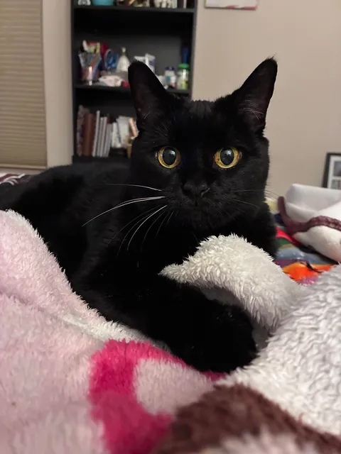 My 18 y.o. void girl