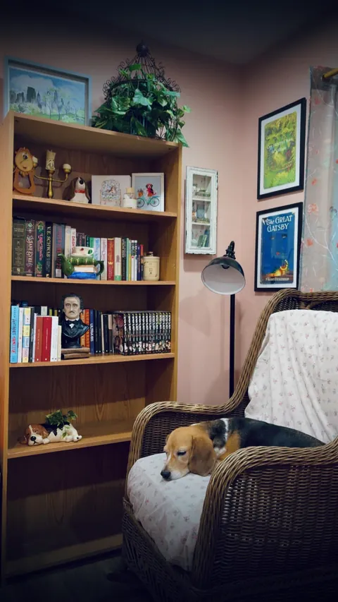 Reading nook in my work in progress library/ home office.