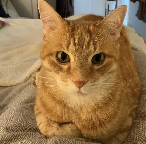 She waited at the shelter for 198 days