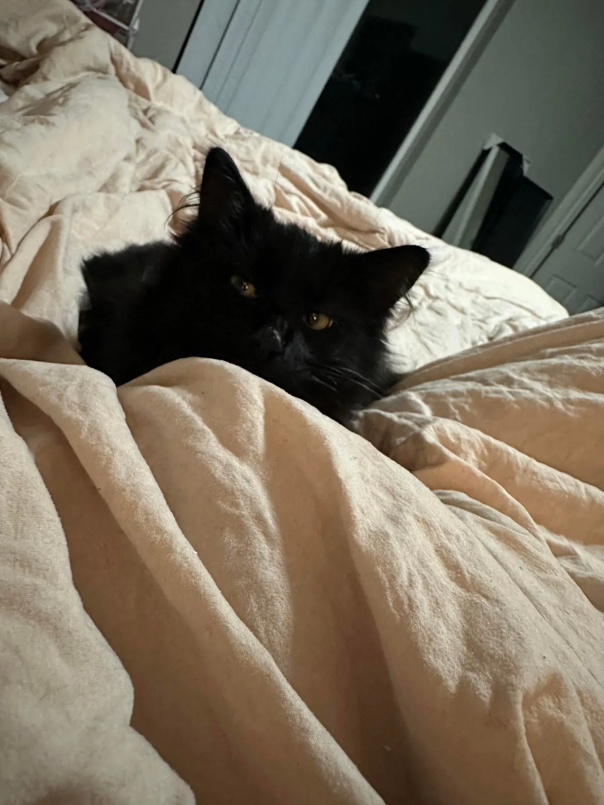 Found her living in the woods 