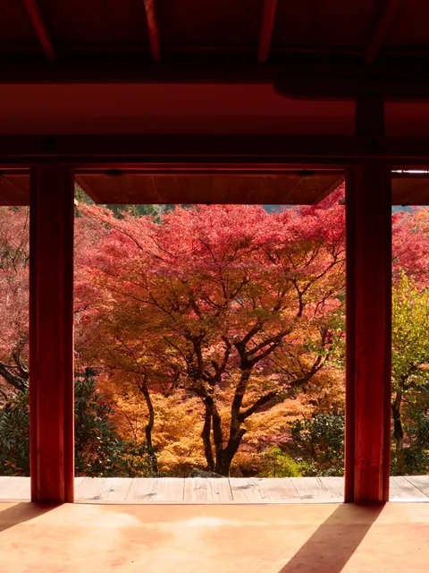 ITAP of a Japanese temple garden