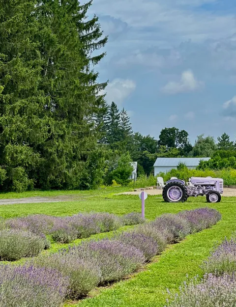 Montreal - huge city, small town vibe!