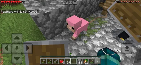 Found A pink baby sheep in big 2026