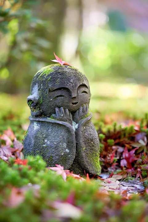 Fall colors in Japan