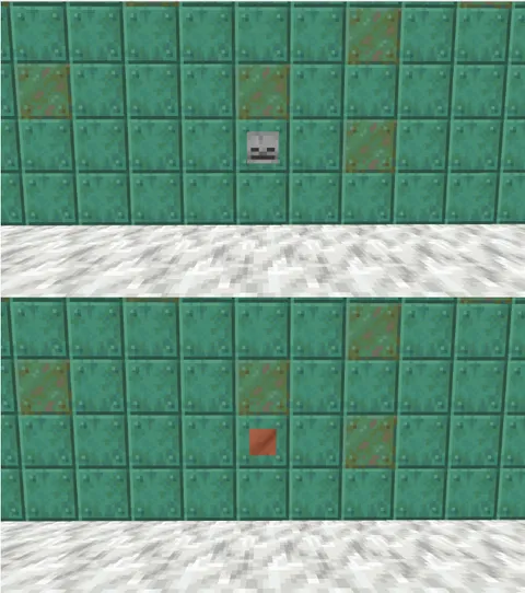 I accidentally left a skull on the wall and...