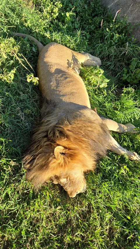 The Beauty of Tanzania