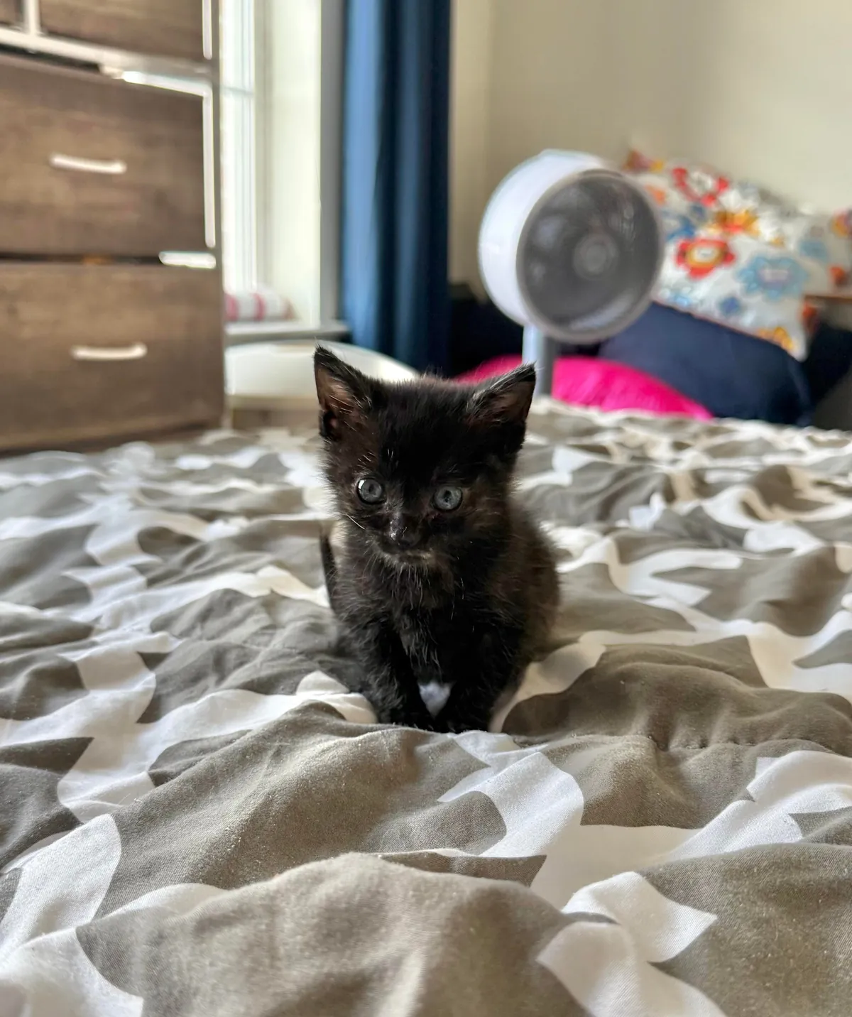 From 6oz to fat ❤️