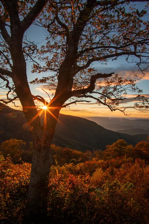 Autum in Virginia [oc][13335x2000]