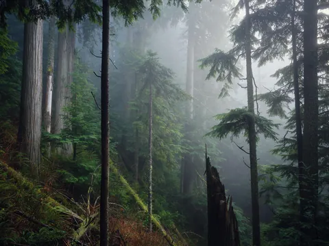 West Coast Canada (OC)(1900x1425)