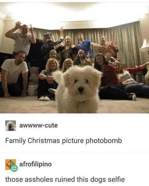 Ayee! Get off my selfie men!!🐶