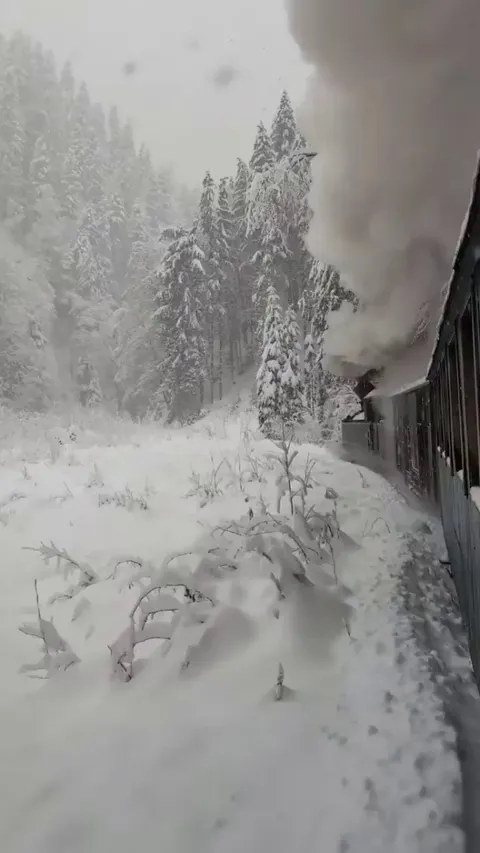🔥Snowy landscape in Maramureș, Romania.