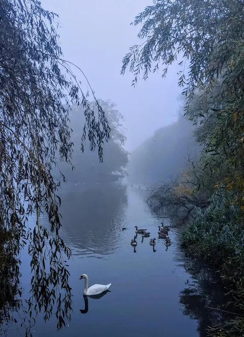 Just got back into photography 