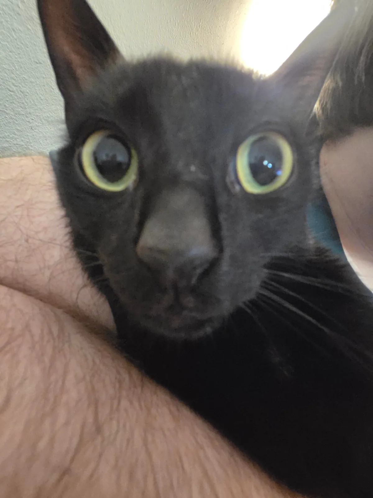 please meet lunchbox