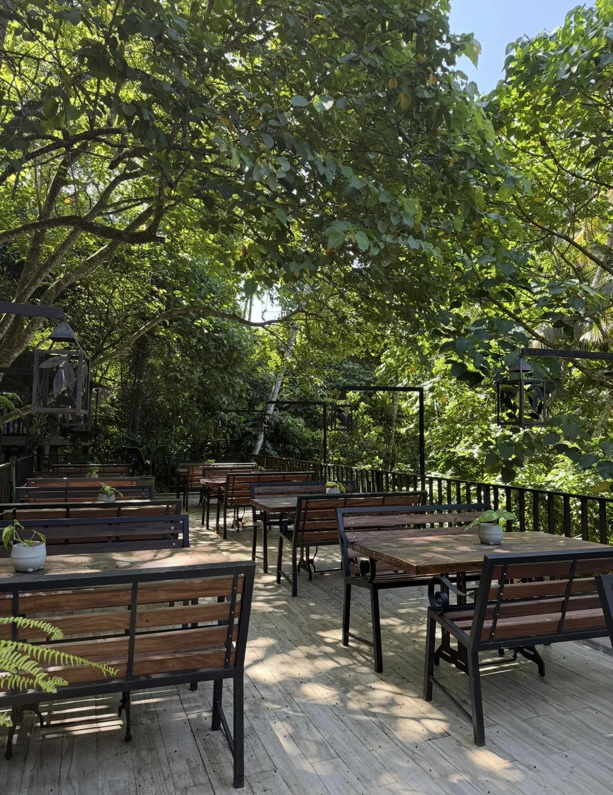 coffee tastes better when the view looks like this✨