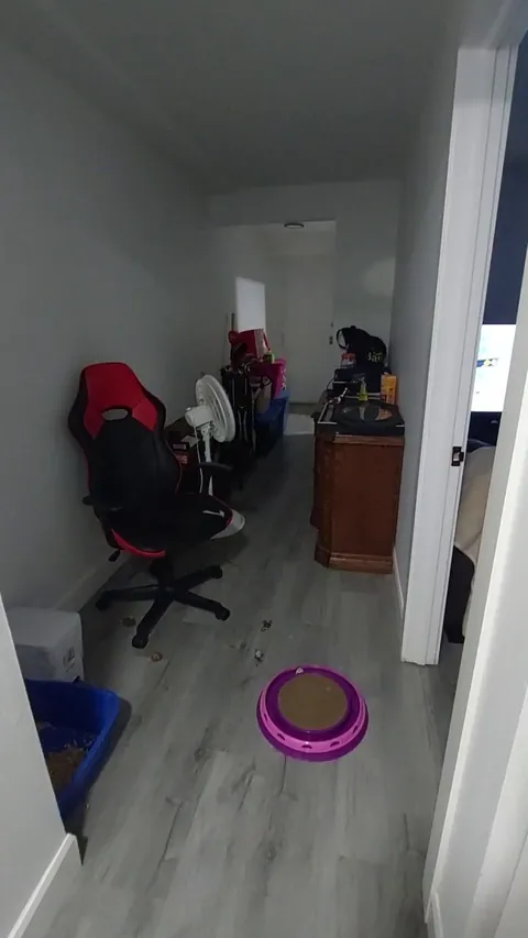 Getting lucky when introducing two compatible kitties is just the best feeling ever