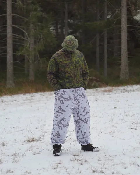 The effectiveness of camouflage 