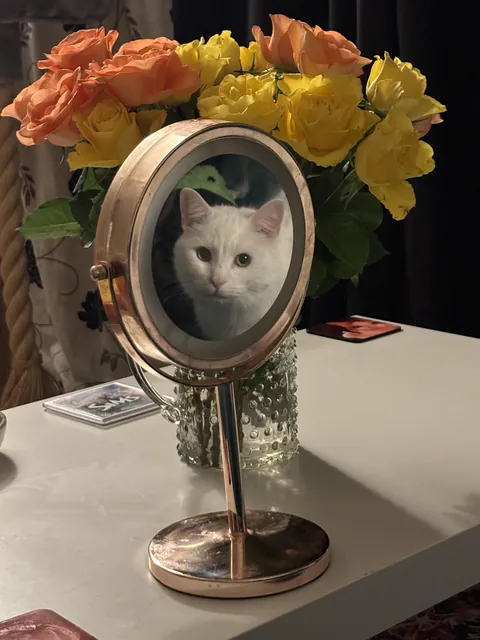 My new favourite picture of Leo (he wanted some of the fish I was eating)