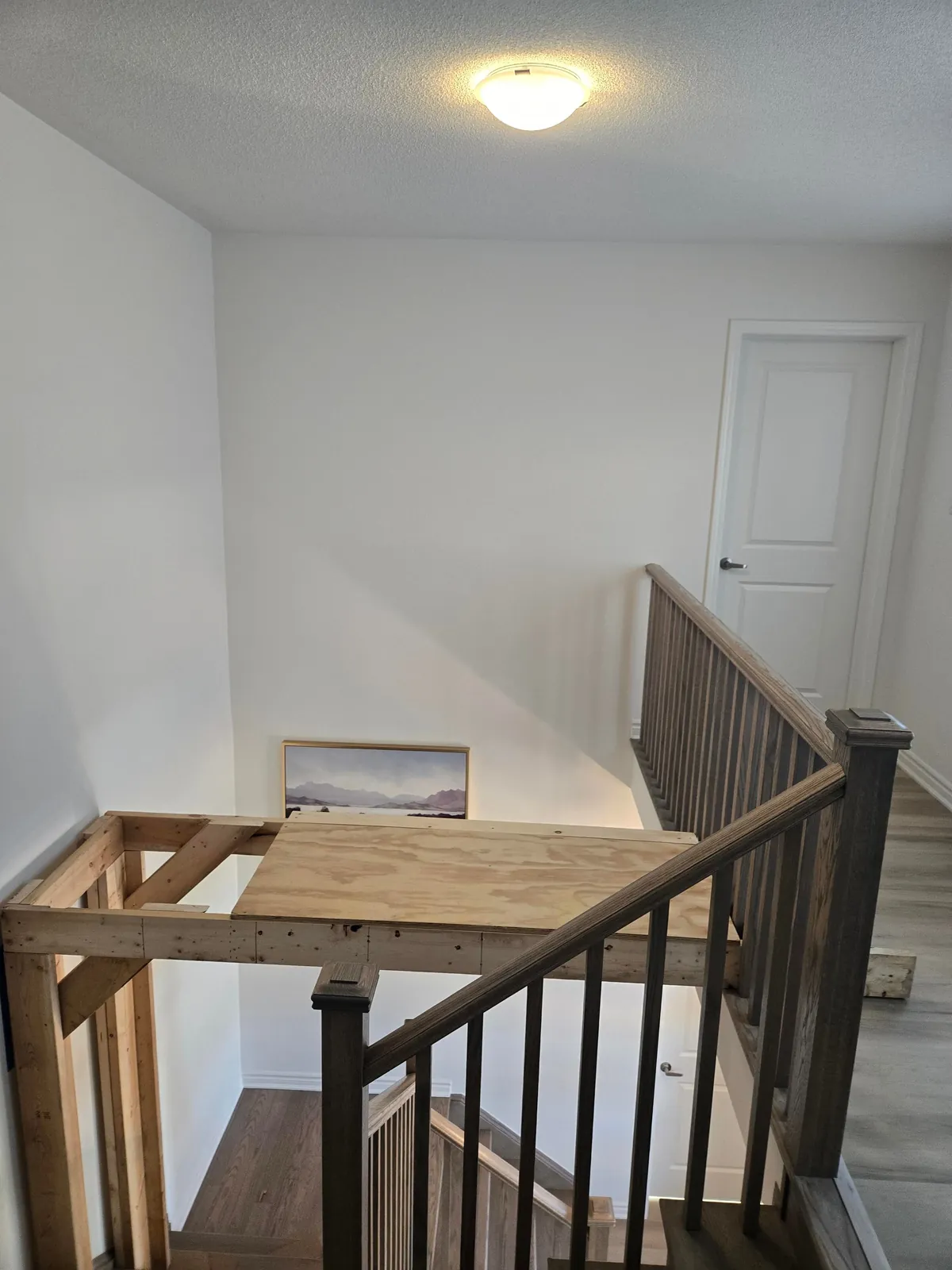 So I ended up building a platform to reach that pesky light fixture