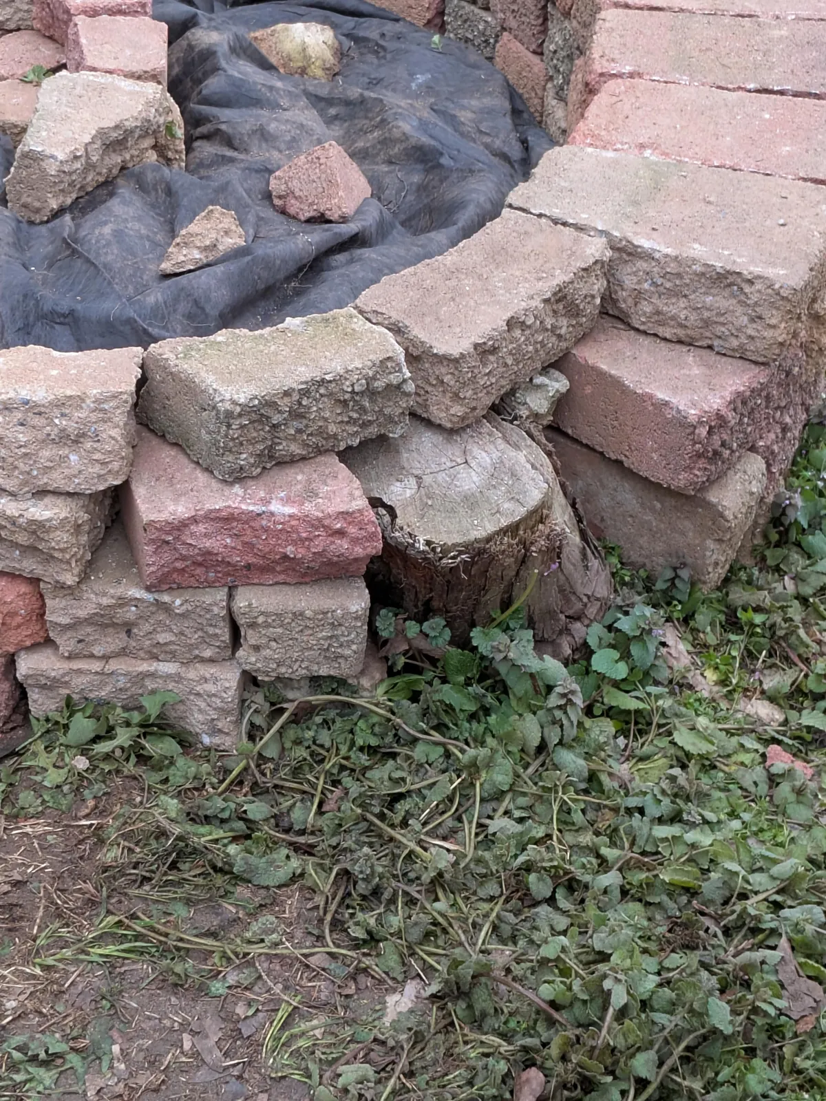 Wife tasked me to build an Herb Spiral with a 0$ budget