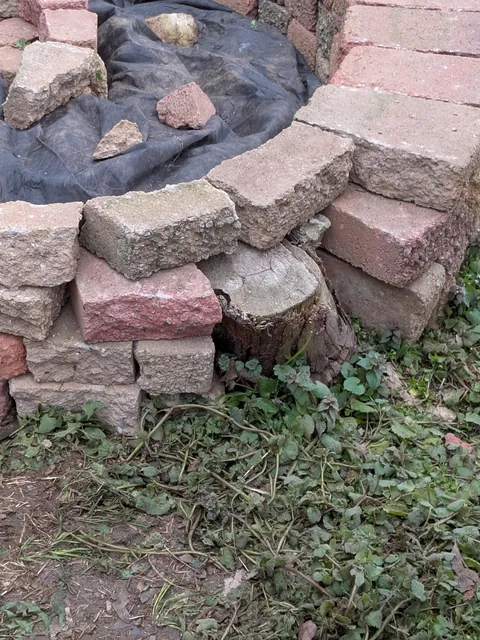 Wife tasked me to build an Herb Spiral with a 0$ budget