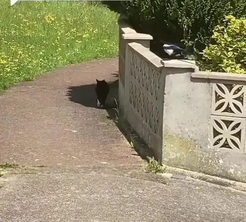 Don’t be suspicious