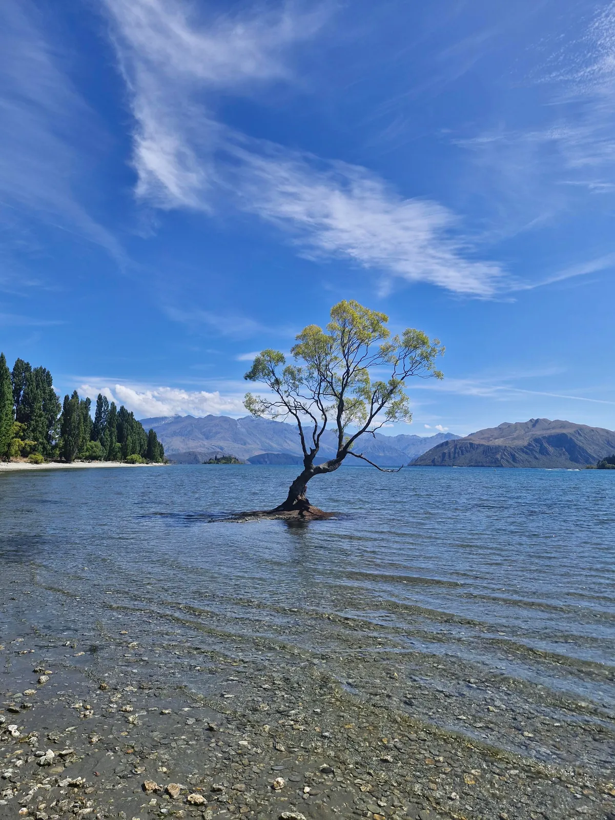 Short &amp; Sweet one week trip to New Zealand 