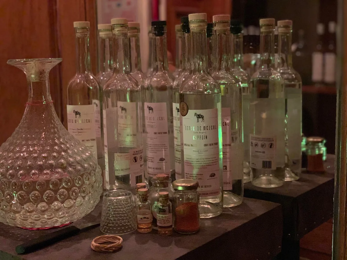 Which city did you visited that you’ve made the most friends? My 2 weeks in Mexico City