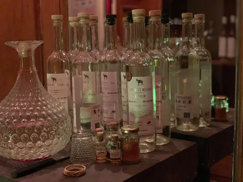 Which city did you visited that you’ve made the most friends? My 2 weeks in Mexico City